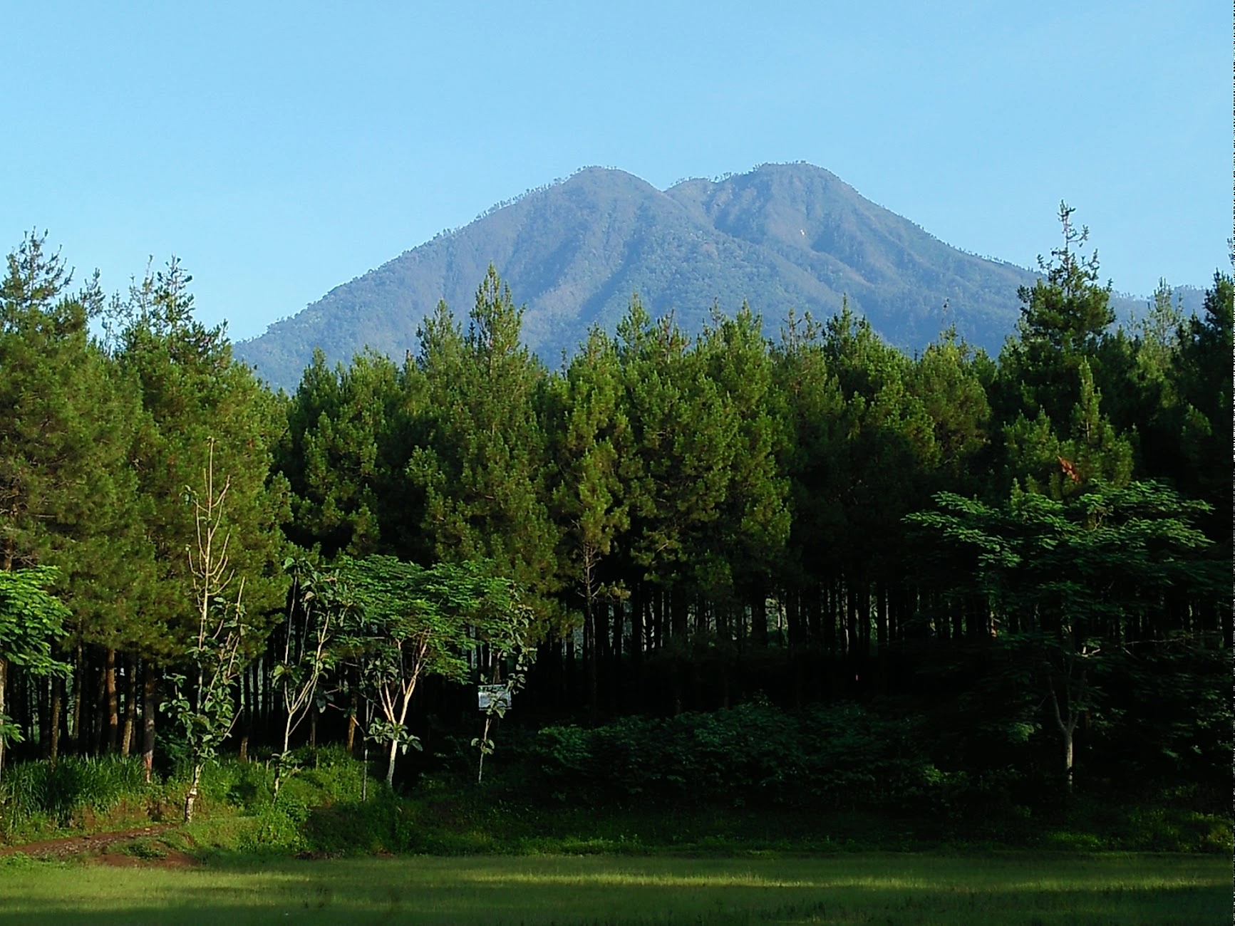 Mengenal Wagir, Kabupaten Malang: Potensi Alam, Budaya, dan Perkembangan Kawasan